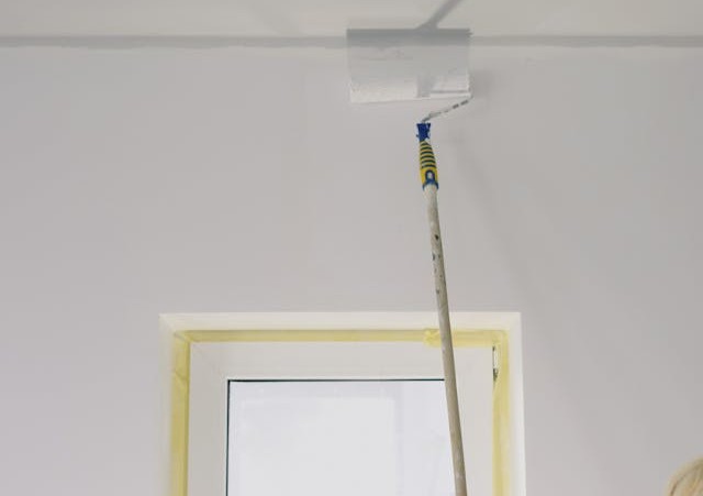 miglior pittura antiumidità